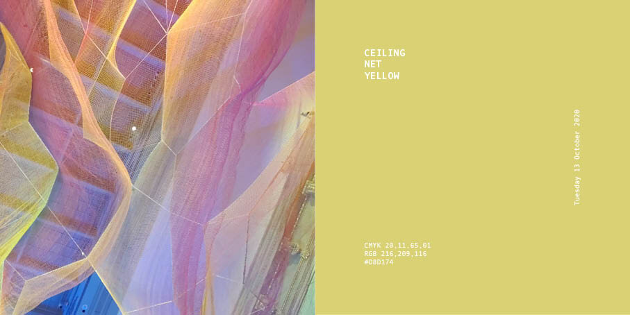 colour of the week2.jpg